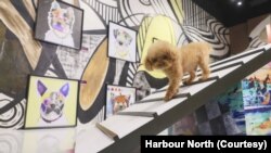 Dog Art Gallery karya Michael Keck di Harbour North, Hong Kong. (Foto: Harbour North)