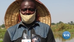 Malanje: Piscicultura em tanques resulta em mais de 10 toneladas de peixe