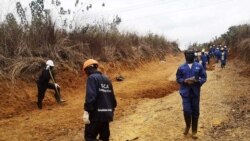 Projet d'agriculture du Caire à Brazzaville; extraction du gaz algérien