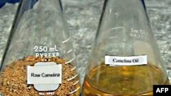 Shqyrtohet përdorimi i biokarbureve në industrine amerikane të avionëve