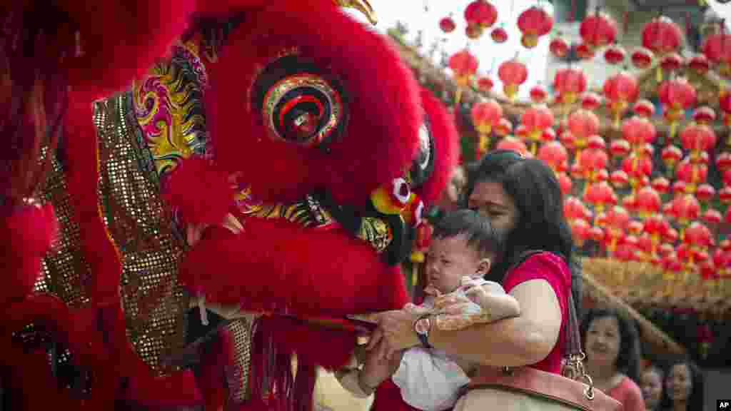 Một phụ nữ và con trai bỏ bao lì xì vào miệng một con lân trong năm mới âm lịch tại một ngôi chùa ở Kuala Lumpur, Malaysia, ngày 19/2/2015.