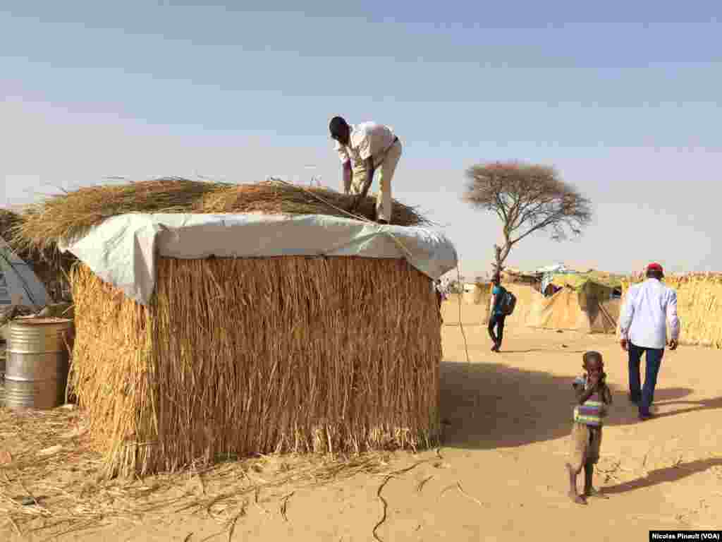 Un travailleur humanitaire pose de la paille sur le toît d'une case dans le camp d'Assaga, Diffa, le 29 février 2016. (VOA/Nicolas Pinault)