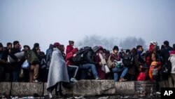 Migrants gather to gain entrance to Austria, at the Slovenian Austrian border, in Sentilj, Slovenia, Nov. 3, 2015. Austria Tuesday proposed a tough new bill to deter Afghans that the U.N. refugee agency criticized as likely to increase the migrants' suffe
