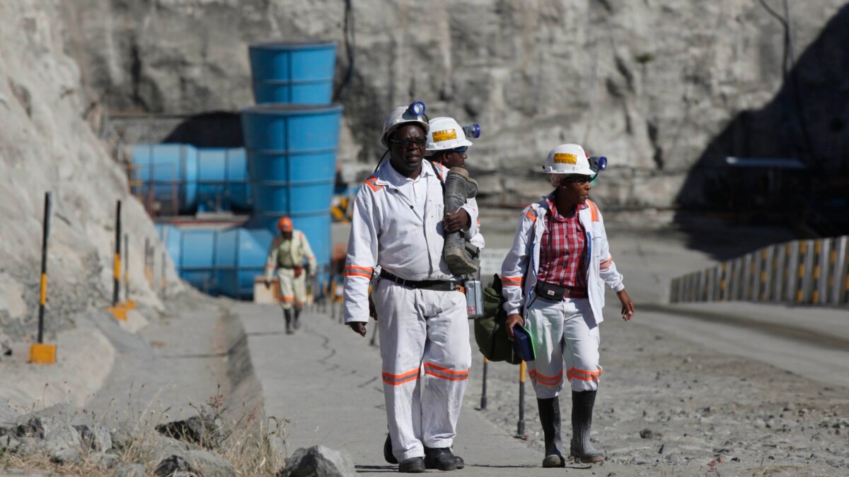 Zimbabwe Miners Unfazed by New Royalties Proposal - Vimarsana News