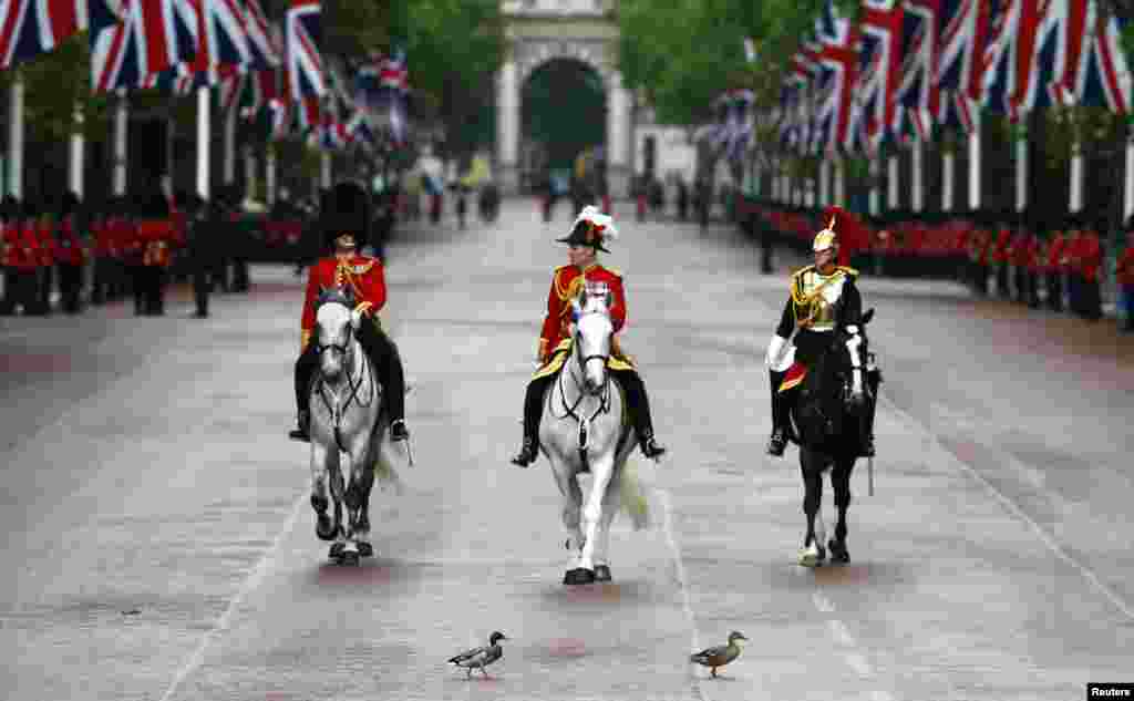 Two ducks cross the Mall in front of members of the guards and household cavalry during pageantry for the State Opening of Parliament in central London.