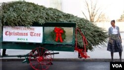 La primera dama de Estados Unidos, Michelle Obama y sus hijas, Sasha y Malia recibieron el árbol de Navidad para la Casa Blanca en el portico norte de la mansión presidencial.