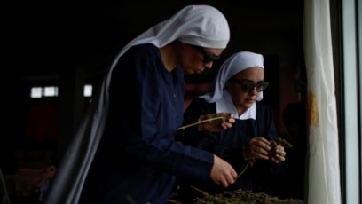 Mexican 'Nuns' Grow Cannabis