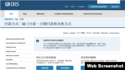 美国国税局(IRS)网站的中文页面截屏