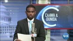 Caawa iyo Dunida
