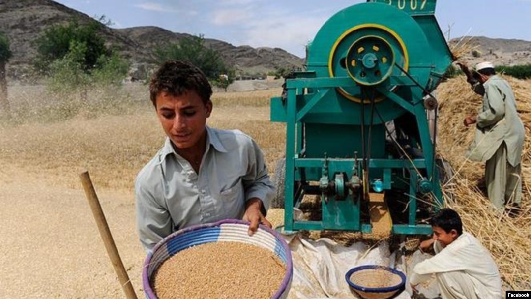 کرونده ګر