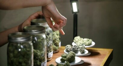 Medical Marijuana Legal in Nation's Capital