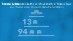 Explainer: Federal Appeals Process