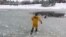 Пожежники врятували собаку із замерзлого ставка в штаті Колорадо. Відео