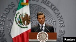 Shugaban kasar Mexico Enrique Pena Nieto