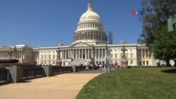 #NiUnaMenos llega a Washington
