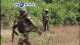 VOA60 AFIRKA: NIGERIA Wasu Tsagerun Niger Delta Sun Dauki Alhakin Fasa Bututun Man Fetur Mallakar Gwamnati