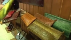 အောင်မြင်နေတဲ့ ငါးအရေခွံလုပ်ငန်း