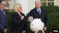Presiden AS Joe Biden mengampuni kalkun "Peanut Butter" di Gedung Putih hari Jumat (19/11) menjelang hari libur Thanksgiving atau Hari Bersyukur bagi warga AS.