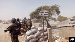 Lutte contre Boko Haram à la frontière entre le Nigeria et le Cameroun, le 25 février 2015.