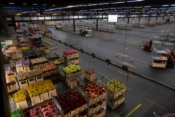 Electric trolleys shift flowers around a warehouse as empty racks are seen at flower auctioneer Royal FloraHolland in Aalsmeer, Netherlands, March 19, 2020.
