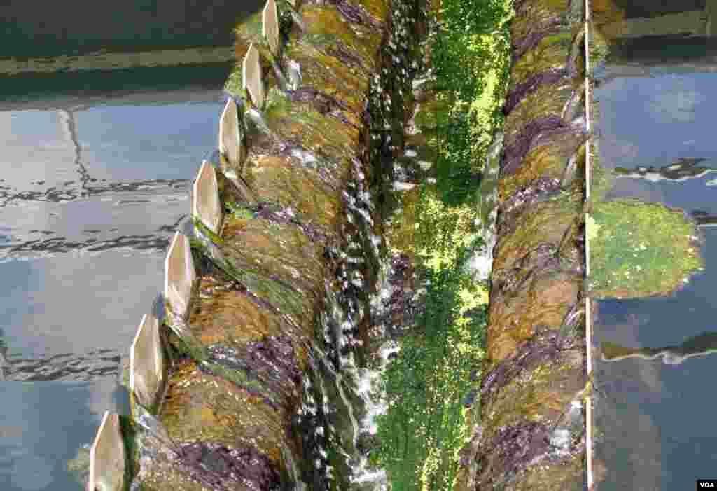 Water, percolated through sand filters, removes remaining suspended solids and then is disinfected and de-chlorinated and discharged into the Potomac River. (Rosanne Skirble/VOA)
