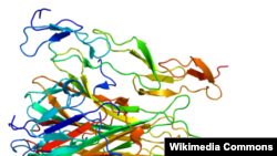 TRAIL proteininin görseli