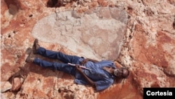 La pisada fue encontrada en un yacimiento de Australia y es tan grande como la altura de un ser humano adulto.