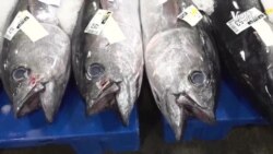 China Fishing -- USAGM