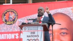 Liphuma Lendaba: Sixoxa loDinizulu Macaphulana Ngodlakela Lwezombusazwe