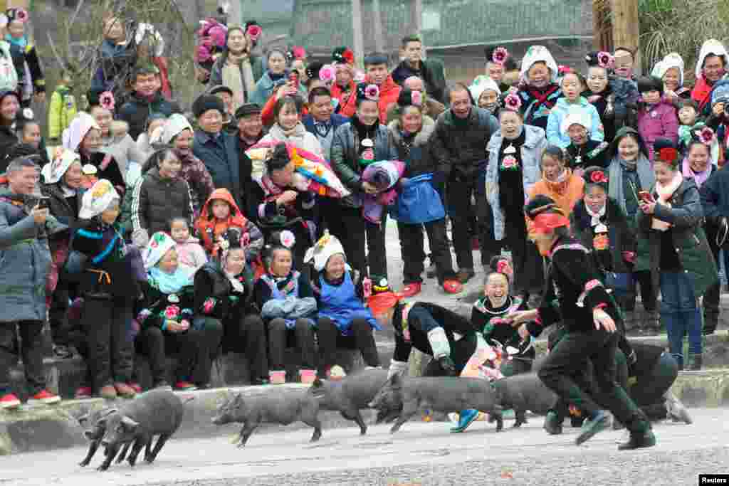 Women of the Miao ethnic group take part in a piglet catching competition in Leishan county, Qiandongnan Miao and Dong Autonomous Prefecture, Guizhou province, China, Feb. 3, 2018.