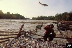 ຊາວບ້ານຫາປາ ໃນເຂດສີ່ພັນດອນ ຂອງລາວ