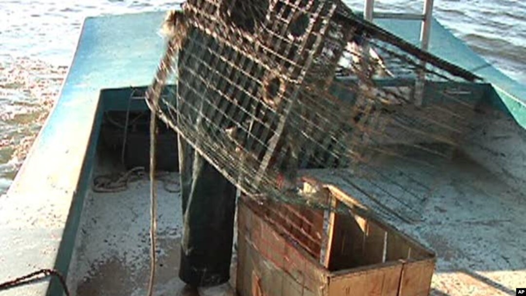 Fishermen open crab traps off coast of Louisiana threatened by the huge oil slick