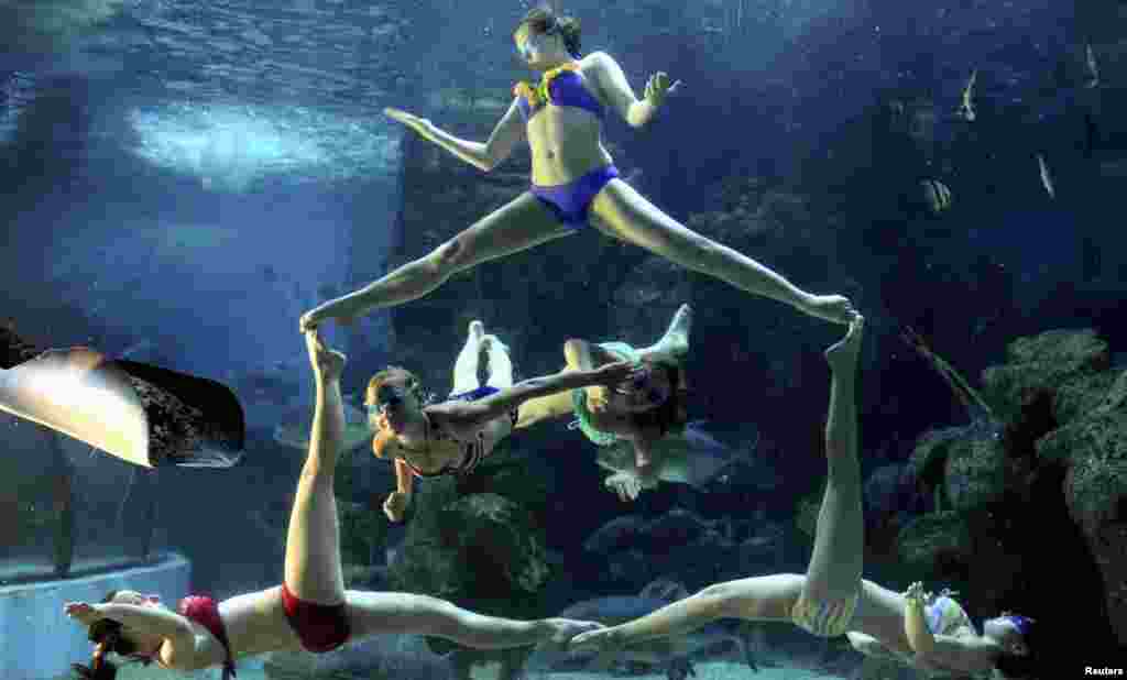 تیم شناگران رقصنده روسیه در حال اجرای برنامه در چین&nbsp; 