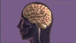 Борьба с Альцгеймером: старт до диагноза