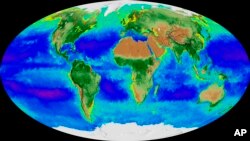 This image made from video released by NASA in November 2017 shows a Mollweide projection of the Earth and its biosphere derived from two decades of satellite data starting in September 1997 going through September 2017. By monitoring the color of reflected light via satellite, scientists can determine how successfully plant life is photosynthesizing.