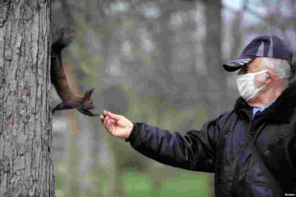 A park security guard wearing a protective face mask feeds a squirrel, following restrictions on access to city parks in an attempt to prevent the spread of coronavirus outbreak in Sofia, Bulgaria.