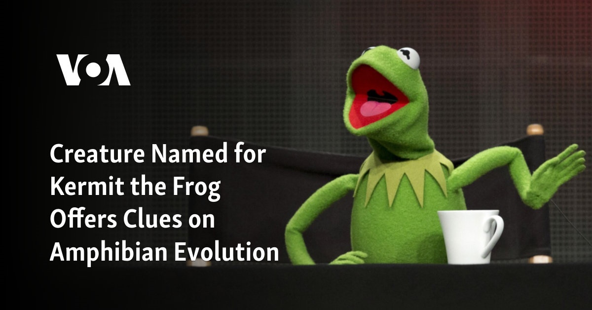 Creature Named for Kermit the Frog Offers Clues on Amphibian Evolution