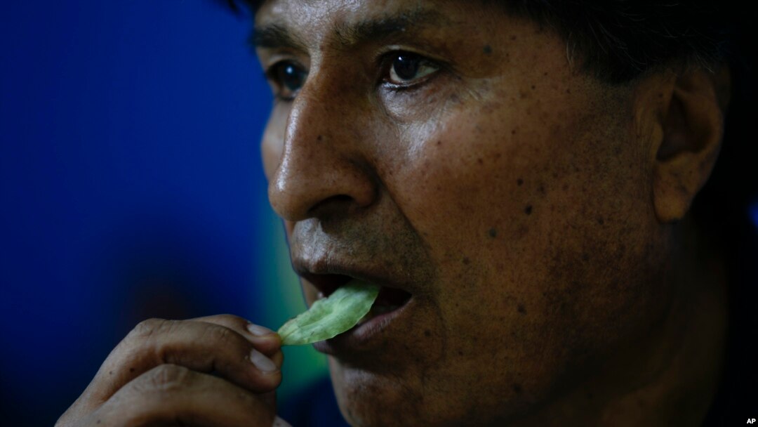 Bolivian former President Evo Morales chews coca in the Chapare region of Bolivia on Nov. 3, 2024, amid an ongoing political conflict with the government of President Luis Arce.