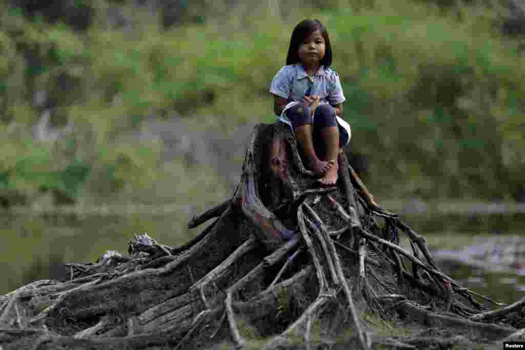 Una niña indígena de la tribu Parintintin se sienta en el tronco de un árbol cortado en la aldea de Traira, cerca de Humaita, estado de Amazonas, Brasil. Foto del 16 de agosto de 2019.&nbsp;