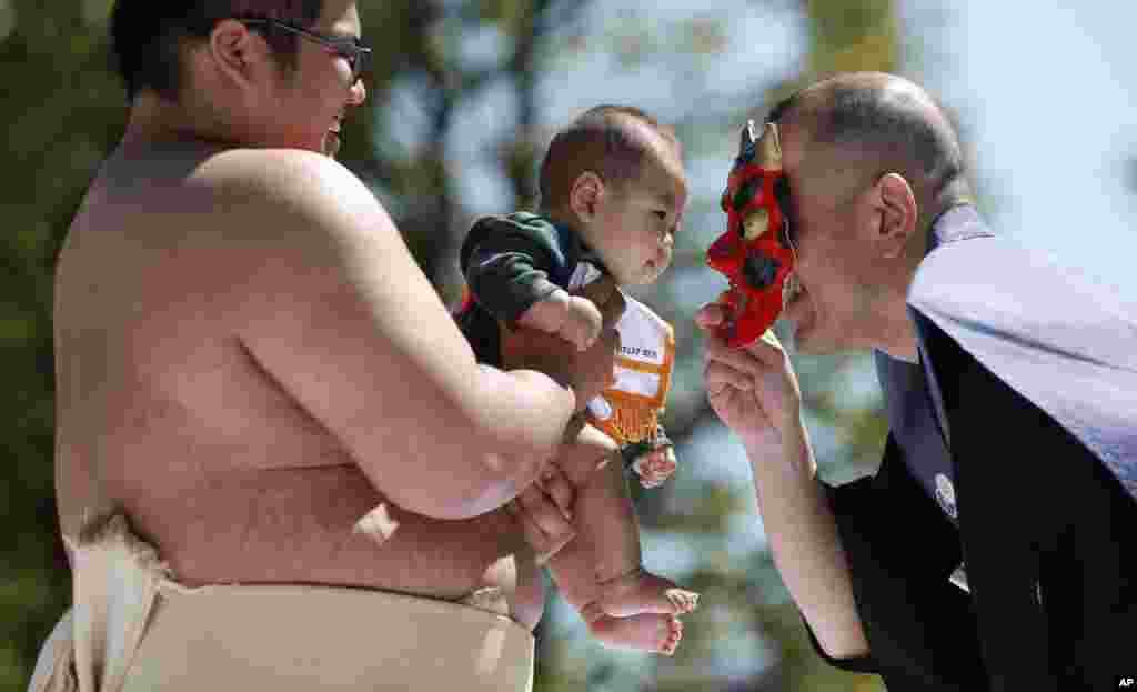 A referee puts an ogre mask to make a baby, being held by a college sumo wrestler, cry to win in the Naki Sumo, or crying baby contest at Sensoji Buddhist temple in Tokyo. The babies participated in the annual traditional ritual performed as a prayer for healthy growth.