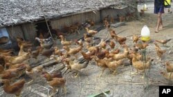 Avian influenza has killed 27 people in 30 Cambodian cases of the disease since a worldwide outbreak in 2003.