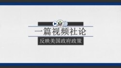 反映美国政府政策立场的视频社论：美国国际开发署的开发创新企业项目