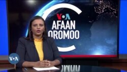 Tamsaasa Guyaadhaa Guyyaa