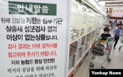 20일 서울 대형마트에서 살충제 성분검사 결과 이상없는 계란이 판매되고 있다.