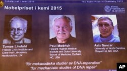 Ganadores del Premio Nobel de Química 2015.