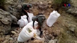 Diyarbakır'da 5 Ton Esrar Ele Geçirildi