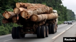 Un camion transporte des grumes du bassin du Congo à Abidjan, Côte d'Ivoire, 15 juillet 2010.