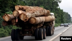 FILE: A truck transports logs near Abidjan July 15, 2010. Logging, farming and armed conflict still menace Africa's jungles, which include the Congo Basin,