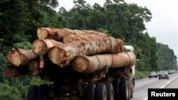 Un camion transporte des grumes du bassin du Congo à Abidjan, Gabon, 15 juillet 2010.