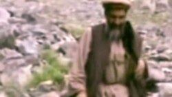 Hosino: Radikalni elementi iskoristili film